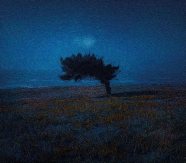 Flora - Discography (2016 - 2020)