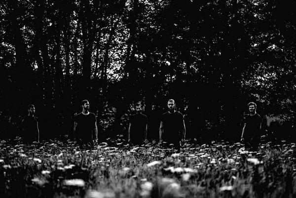 Deluge - Discography (2015 - 2020)