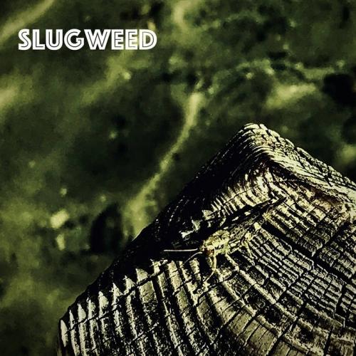 SlugWeed - Discography (2020)