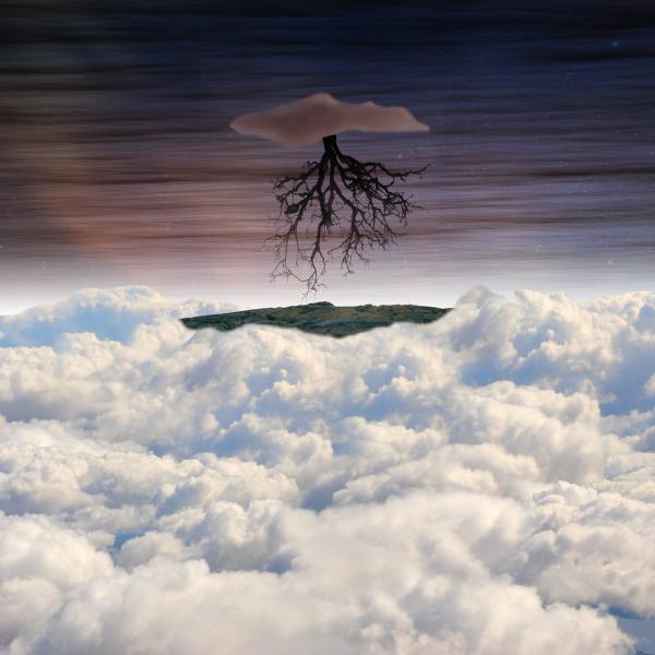 The Doubted - Surfacing