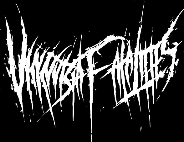 Vinnytsia Fatalities - Discography (2019-2020) (Lossless)