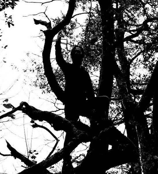 Tattva - Discography (2020 - 2023)