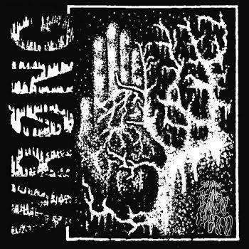 Wrong - Snapping the Bones to Make the Limbs Bend