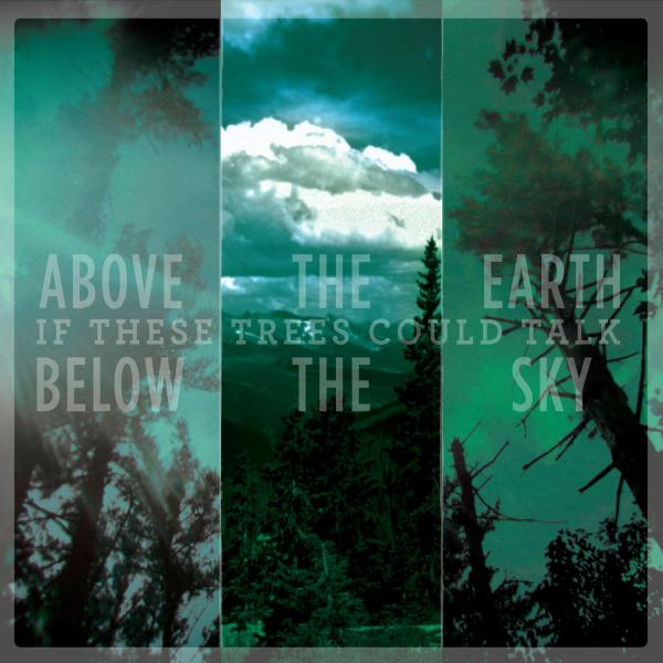 If These Trees Could Talk - Discography (2006 - 2016) (Lossless)