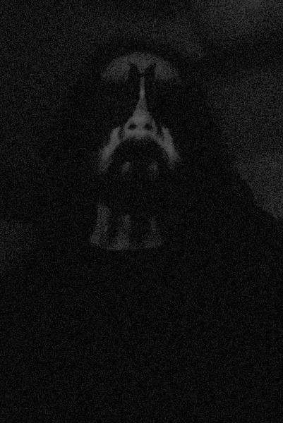 Fathomage - Discography (2018 - 2023)