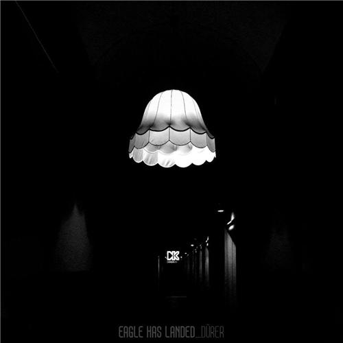 Eagle Has Landed - Dürer