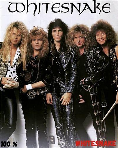 Whitesnake - 100% Whitesnake