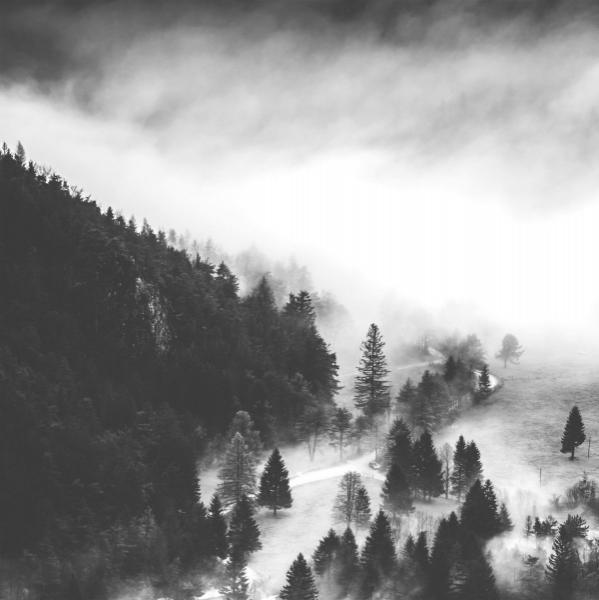 Mezereum - Mezereum II