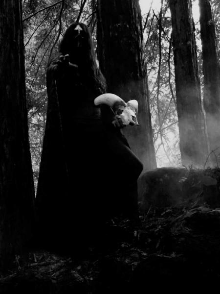 Lluvia - Discography (2013 - 2020)