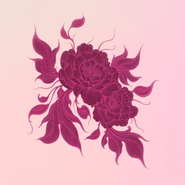 Certainties - Discography (2014-2019)