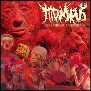 Moiscus - Discography (2020 - 2021)