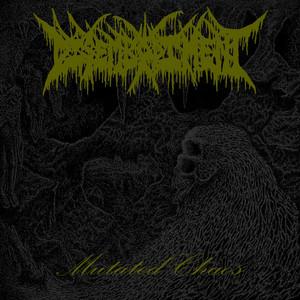 Disembodiment - Mutated Chaos (EP)