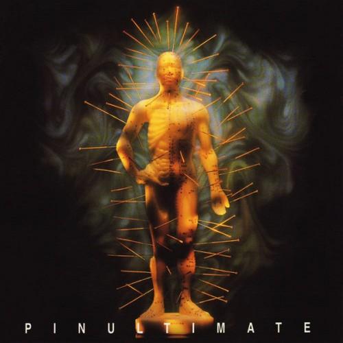 The Shock - Pinultimate