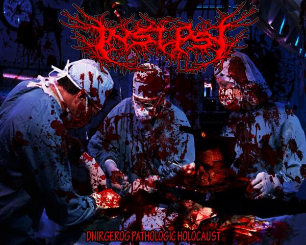 Insepsy - Discography (2011 - 2019)