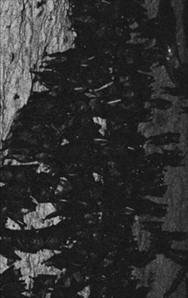 Inner Abyss - In the Name of Ruin (Demo)