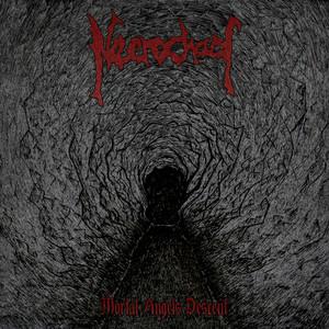 Necrochaos - Discography (2019 - 2021)