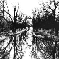 Dark Grave - The Only Viable Path (EP)