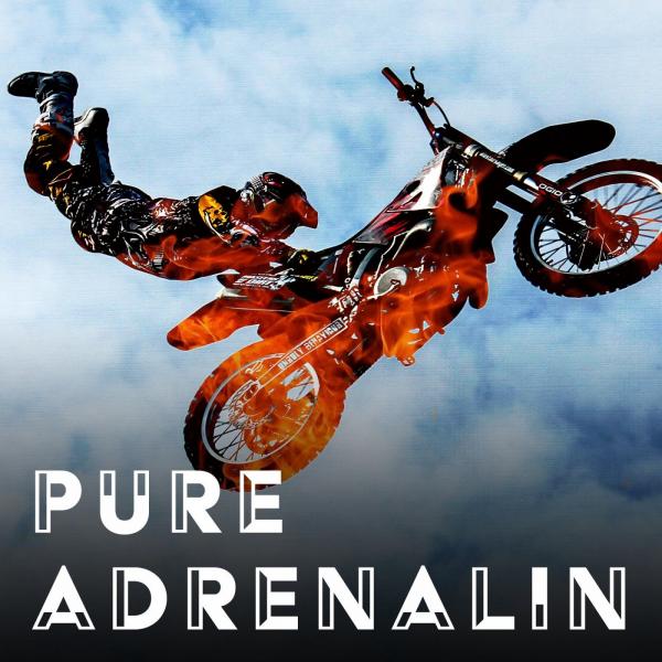 Alan Reed, Keith Morrissey, Lukas Blecks &amp; Moritz Bintig - Pure Adrenalin