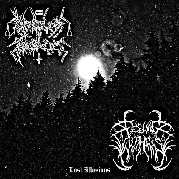 Feeling Worthless &amp; Sleepless Cadaver - Lost Illusions (Split)