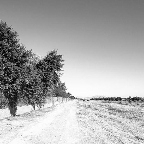 Misertus - Discography (2019 - 2021)