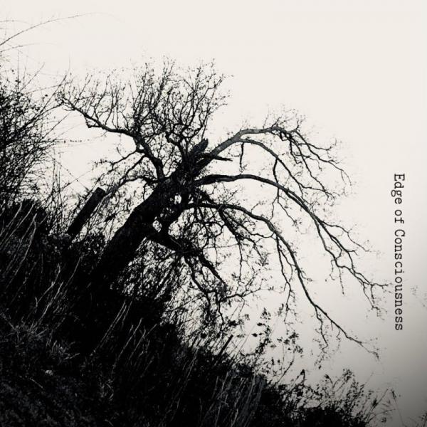 Insincerus - Edge Of Consciousness