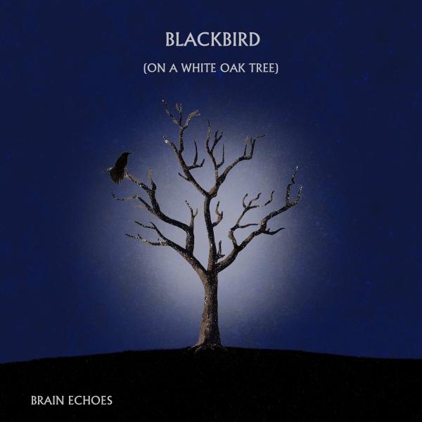 Brain Echoes - Blackbird (On A White Oak Tree)