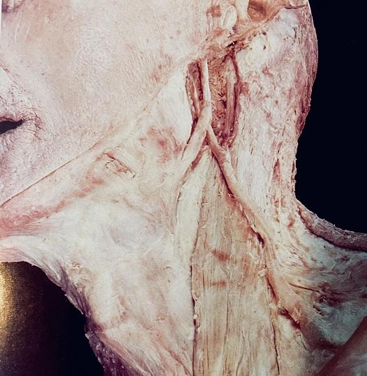 Occulte - Trous Noirs