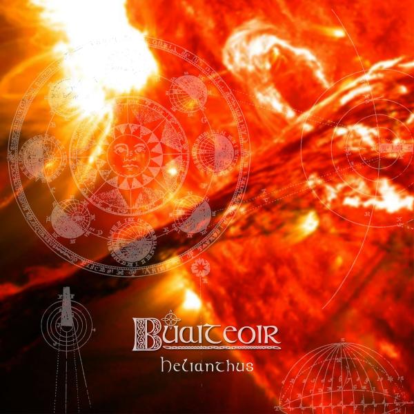 Buaiteoir - Helianthus