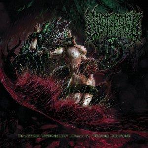 Urotherapy - Transfixed Effervescent Human By Verdure Creatures