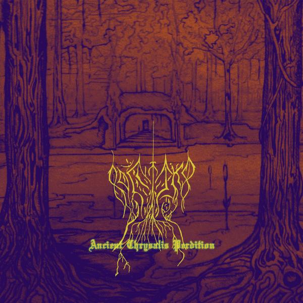 Bog Imp - Discography (2004 - 2021)