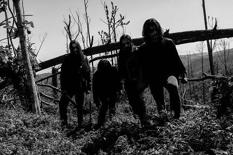 Argyle - Discography (2016 - 2021)