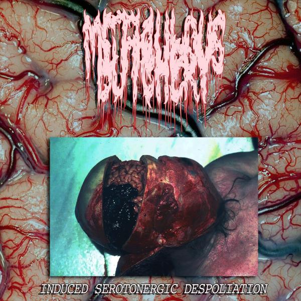 Meticulous Butchery - Induced Serotonergic Despoliation (EP)