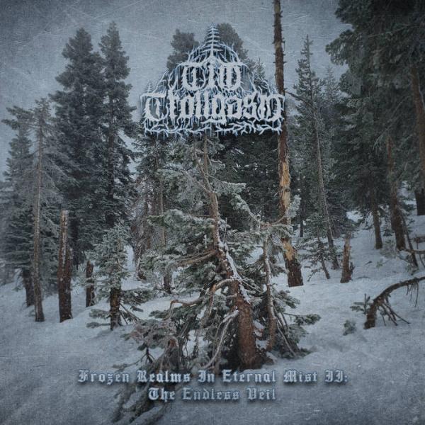 Tim Trollgasm - Frozen Realms in Eternal Mist II: The Endless Veil