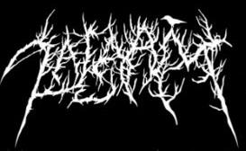 Zalaam - Discography (2020 - 2022)