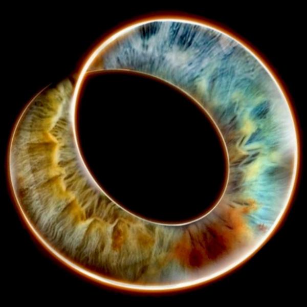 Evil Love Mule - Möbius Trip