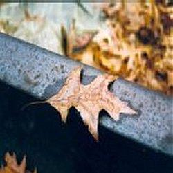 Prophet - Fragile Prologue (Compilation) (Lossless)