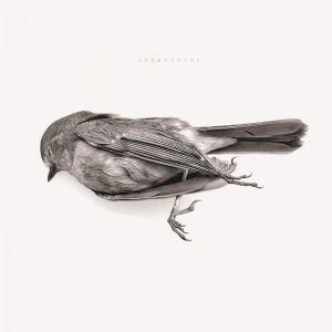 Downriver Dead Men Go - Discography (2015 - 2018)