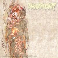 Pharmacist - Flourishing Extremeties on Unspoiled Mental Grounds