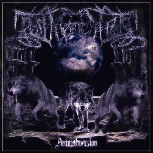 Post Mortem Arts - Animadversion