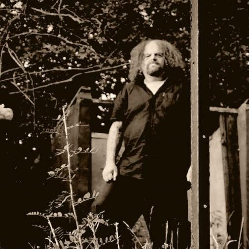 Insidious Disease - Discography (2010 - 2020) (Lossless)