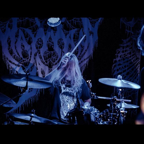 Wayward Dawn - Discography (2017 - 2022)