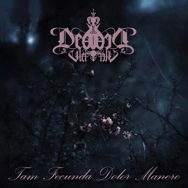 Déadvlei - Tam Fecunda Dolor Manere