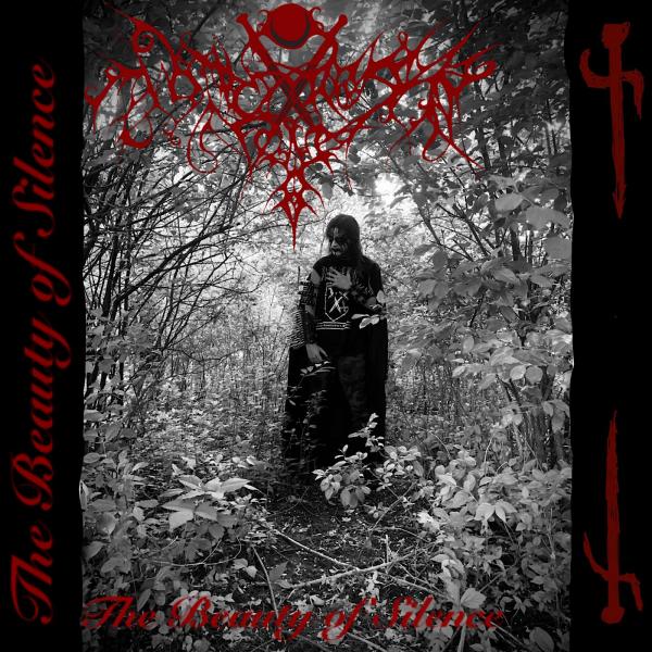 Witches Forest - The Beauty Of Silence