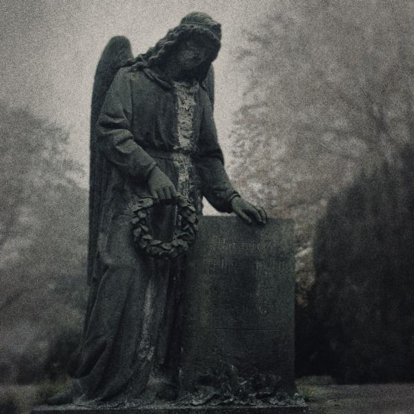 Sinister Downfall - The Last Witness (Lossless)