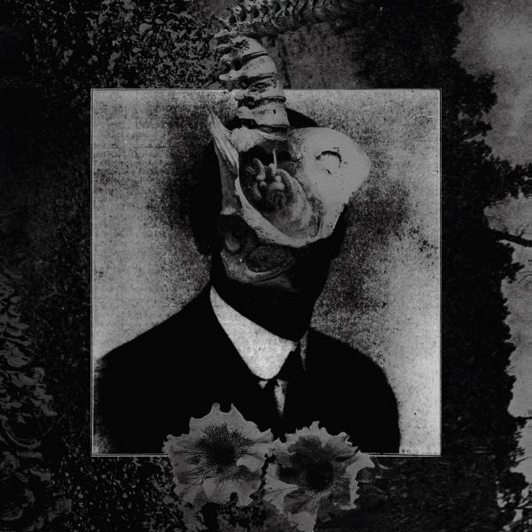 Mord'A'Stigmata - Like Ants and Snakes