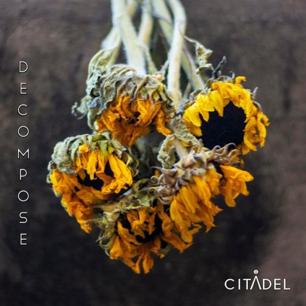 Citadel - Decompose