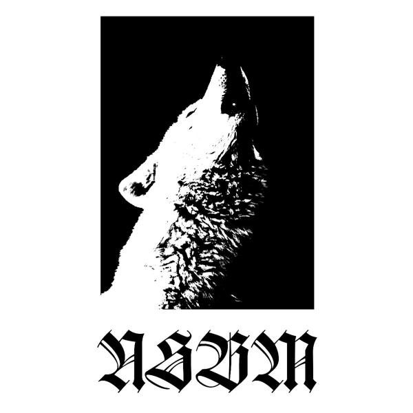 NSBM - Discography (2018 - 2019)