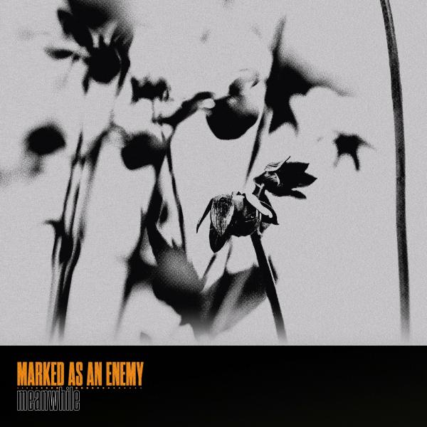 Marked As An Enemy - Meanwhile