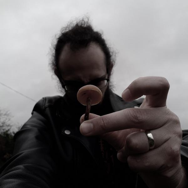 Mycelium - Discography (2021 - 2022)