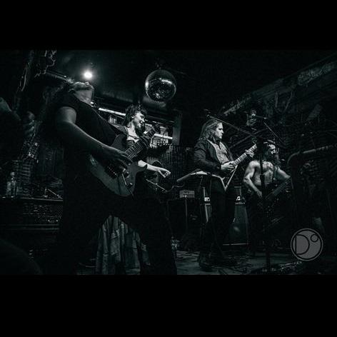 Protokult - Discography (2010 - 2020)